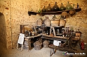 VBS_7444 - Inaugurazione Messer Tulipano 2022 Castello di Pralormo - XXII Edizione